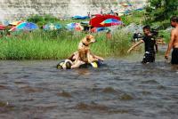 post-40226-0-25270600-1358580654_thumb.j