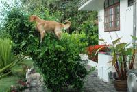 post-40226-0-79777800-1359188457_thumb.j