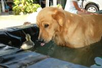 post-40226-0-99091500-1359010648_thumb.j