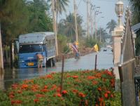 post-42643-0-61355700-1357513815_thumb.j