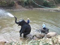 post-46292-0-68793500-1357042232_thumb.j