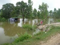 post-46292-0-86726700-1358071877_thumb.j