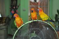 post-58709-0-46370000-1359400973_thumb.j