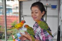 post-58709-0-63740000-1359401044_thumb.j