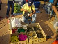 post-62329-0-65107000-1357619414_thumb.j