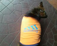 post-70928-0-03519900-1358960184_thumb.j