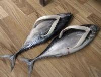 post-70928-0-15721900-1358180458_thumb.j