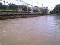 post-70928-0-23973300-1357749234_thumb.j