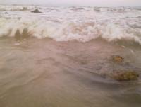 post-70928-0-27802400-1357665225_thumb.j