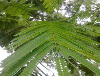 post-70928-0-32134000-1357141152_thumb.j