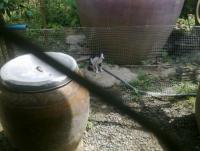 post-70928-0-44000300-1357757092_thumb.j