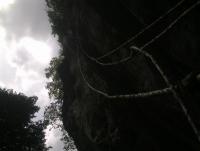 post-70928-0-45765100-1358876573_thumb.j