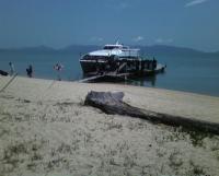 post-70928-0-63402200-1359575828_thumb.j