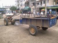 post-70928-0-70183300-1357034639_thumb.j