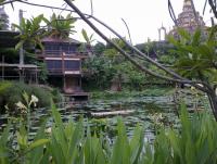 post-70928-0-70954500-1359139529_thumb.j