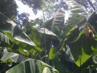 post-70928-0-71580900-1358541109_thumb.j