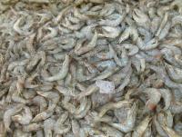 post-70928-0-74711100-1357379123_thumb.j