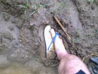 post-70928-0-79558300-1357756823_thumb.j