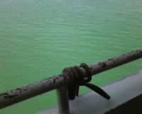 post-70928-0-96448700-1357662740_thumb.j