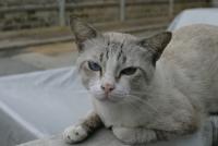 post-7384-0-09520400-1359028258_thumb.jp