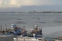 post-7384-0-51367500-1359028698_thumb.jp