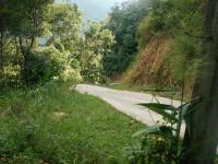 post-81192-0-32802900-1357089526_thumb.j