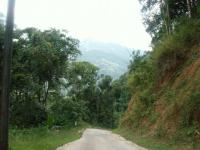 post-81192-0-60245300-1357089538_thumb.j