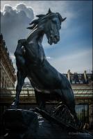 post-107798-0-29441200-1389627989_thumb.