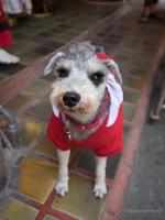 post-107798-0-31305900-1391077779_thumb.