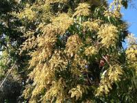 post-108598-0-98318900-1389668811_thumb.