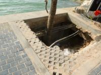 post-11376-0-01275300-1388567704_thumb.j