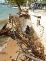 post-11376-0-31495400-1388568246_thumb.j