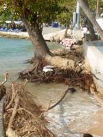 post-11376-0-55007800-1388568223_thumb.j