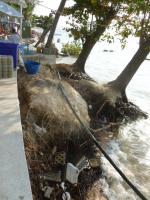 post-11376-0-56094500-1388567752_thumb.j