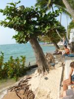 post-11376-0-76950500-1388568278_thumb.j