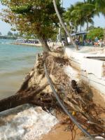 post-11376-0-81076700-1388568161_thumb.j