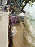 post-11376-0-82689300-1388567602_thumb.j