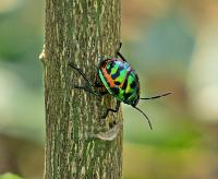 post-12069-0-01657700-1388843466_thumb.j