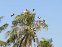 post-12069-0-02606200-1390369611_thumb.j