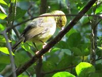 post-12069-0-10217000-1390603859_thumb.j