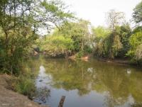 post-12069-0-10535700-1390538515_thumb.j