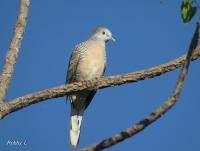 post-12069-0-12375900-1389156951_thumb.j