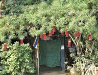 post-12069-0-16589500-1390209408_thumb.j