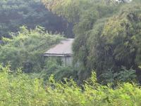 post-12069-0-25217200-1389072122_thumb.j