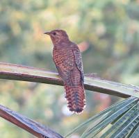 post-12069-0-27688800-1389534299_thumb.j