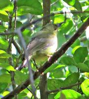 post-12069-0-31941400-1390603712_thumb.j