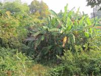 post-12069-0-42876200-1389072196_thumb.j