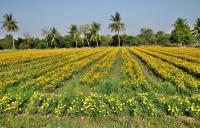 post-12069-0-44505300-1391075376_thumb.j