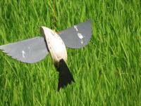 post-12069-0-79455800-1390998222_thumb.j