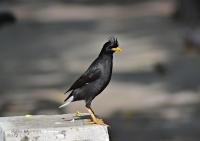 post-12069-0-96459800-1389105102_thumb.j